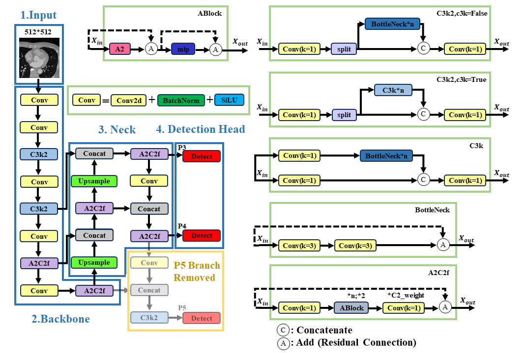 Architecture of the proposed YOLOv12-p5 model